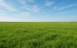 VAND TEREN ESTRAVILAN IN LOCALITATEA ZAGAR, JUDETUL MURES . - Poză 1
