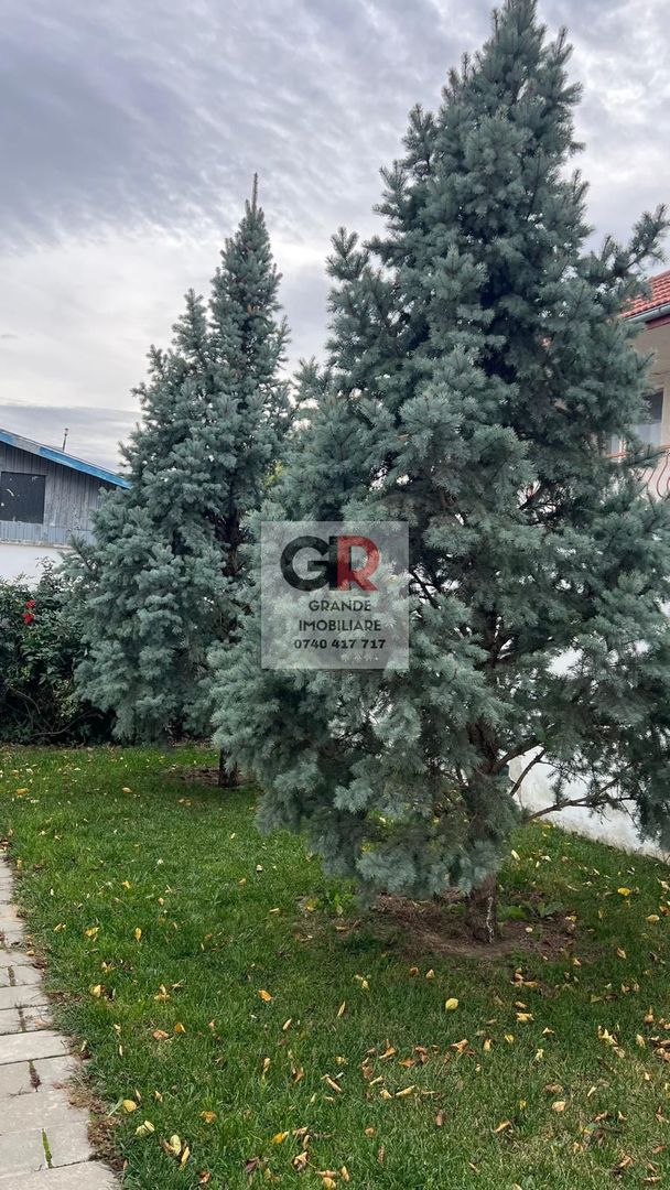 Spațiu de birouri de închiriat în Sud-Vest, Tulcea - Poză 14