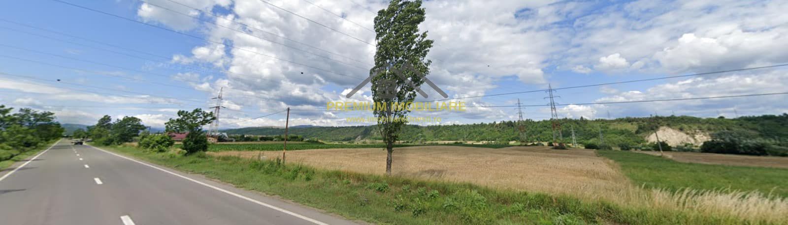 Teren in Onesti 10000 mp - Poză 2