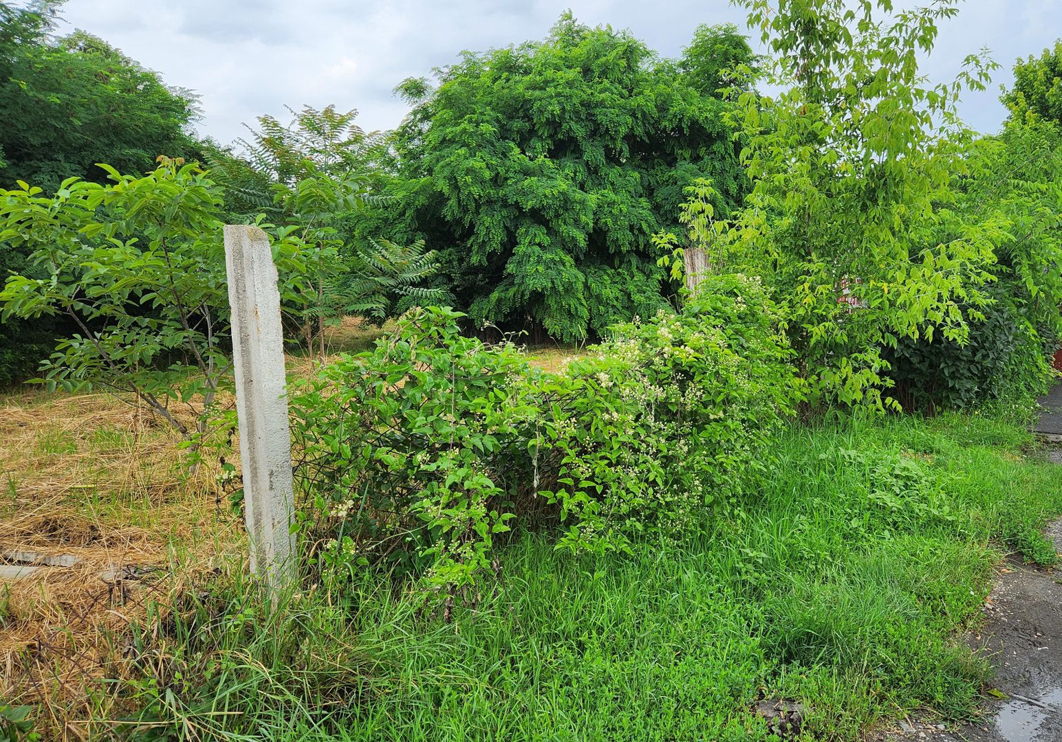 Teren intravilan 926 mp-semicentral - Poză 3