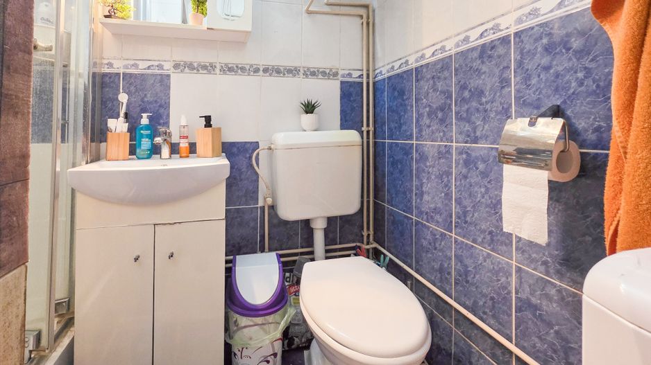 Casă de vânzare 2 camere  Mansarda + Pivnița - Belvedere - Poză 11