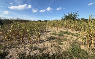 Teren intravilan Voitinel | 6.355 mp - Poză 4