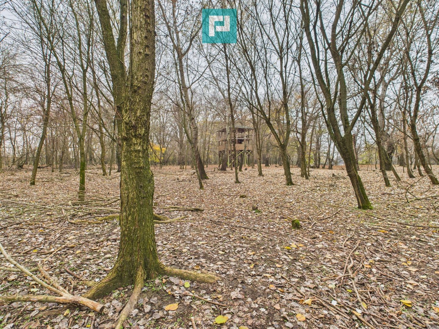 Teren spectaculos la  Periam Port - Poză 28