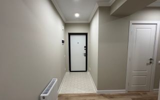 Vânzare, apartament, 3 camere, strada Băcioii Noi, Botanica - Poză 10