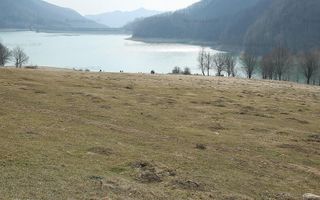 VALEA DOFTANEI - Traisteni, langa Conacul Dascalu, vanzare 2.537 mp. teren - Poză 18