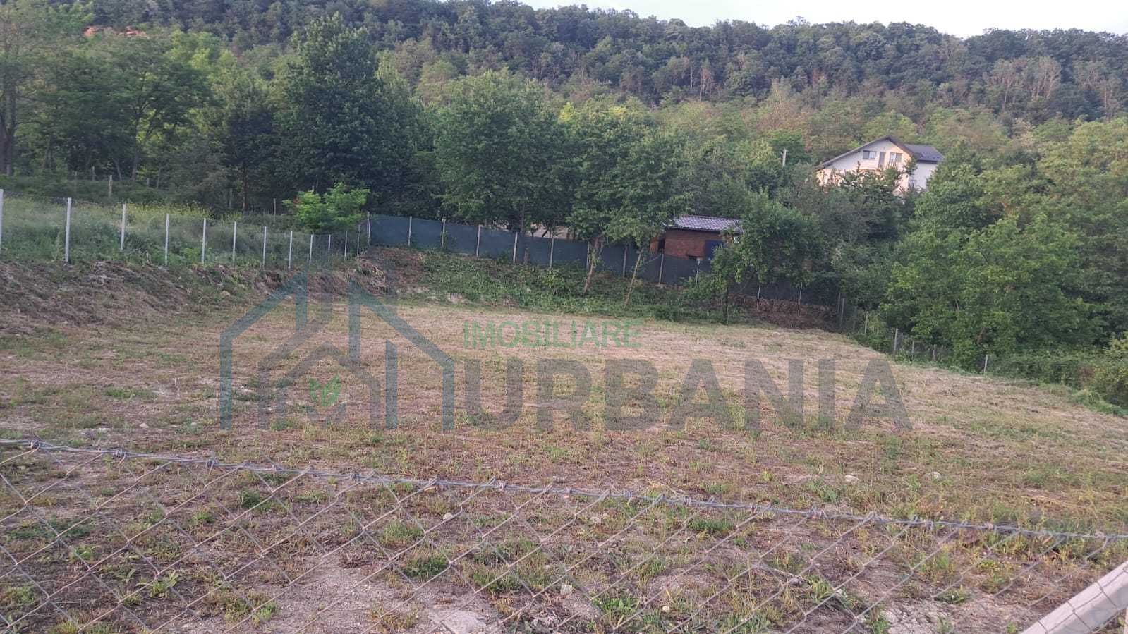teren vanzare intravilan Iasi-Pietrărie - Poză 2