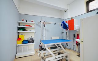 Spatiu Comercial Prelungirea Ghencea | Vizavi Dimri Residence - Poză 6