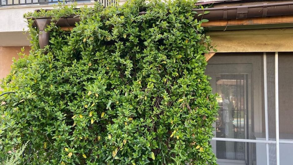 VILĂ MODERNĂ || 3 CAMERE ȘI ACCES LA PISCINĂ || COSMOPOLIS - Poză 14