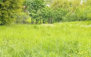 Teren intravilan | Budiu Mic | 994 mp - Poză 8