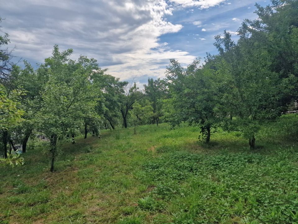 Teren intravilan  1400 mp - Albota ! - Poză 4