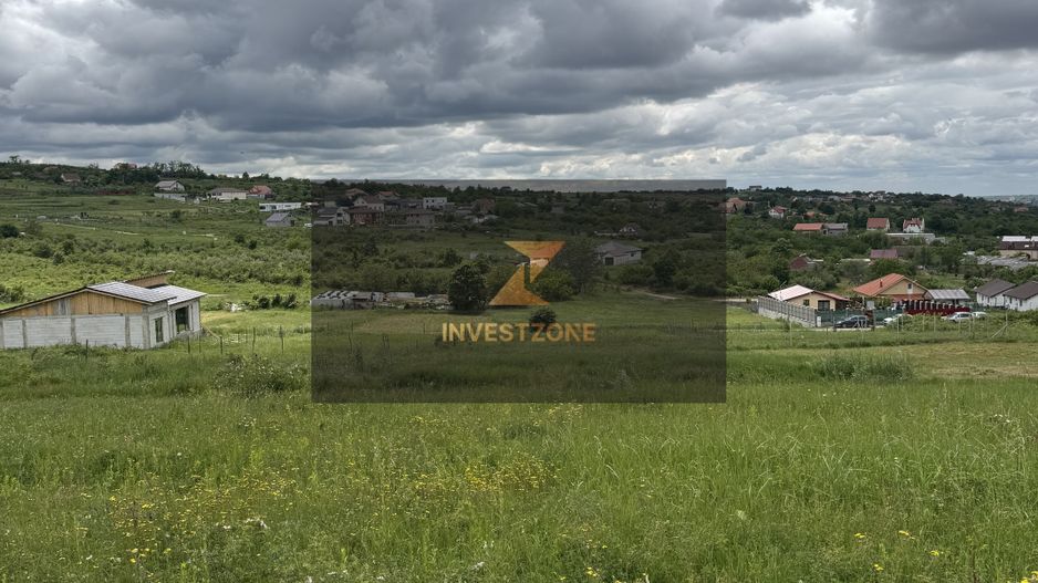 Teren intravilan Dealul Lavandei din Beldiceanu spre Săldăbagiu - Poză 7