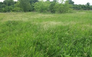 Teren Buftea cu iesire la lac - Poză 17