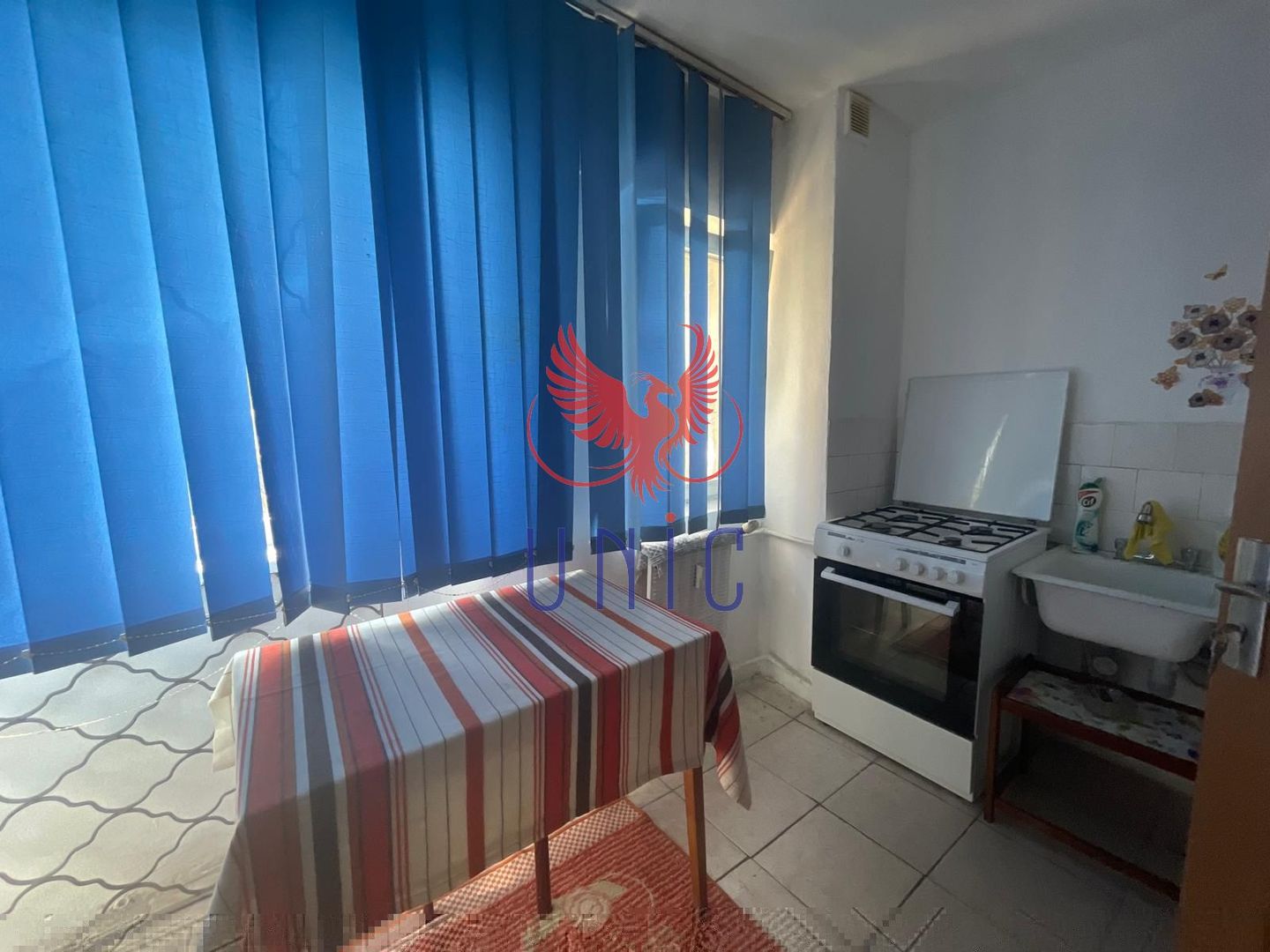 Garsoniera la parter - Lapus - Poză 16