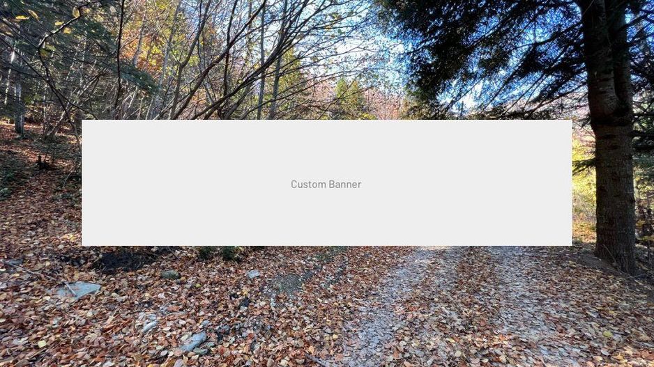 Teren 500 metri - central Sinaia - ideal constructii - Poză 1