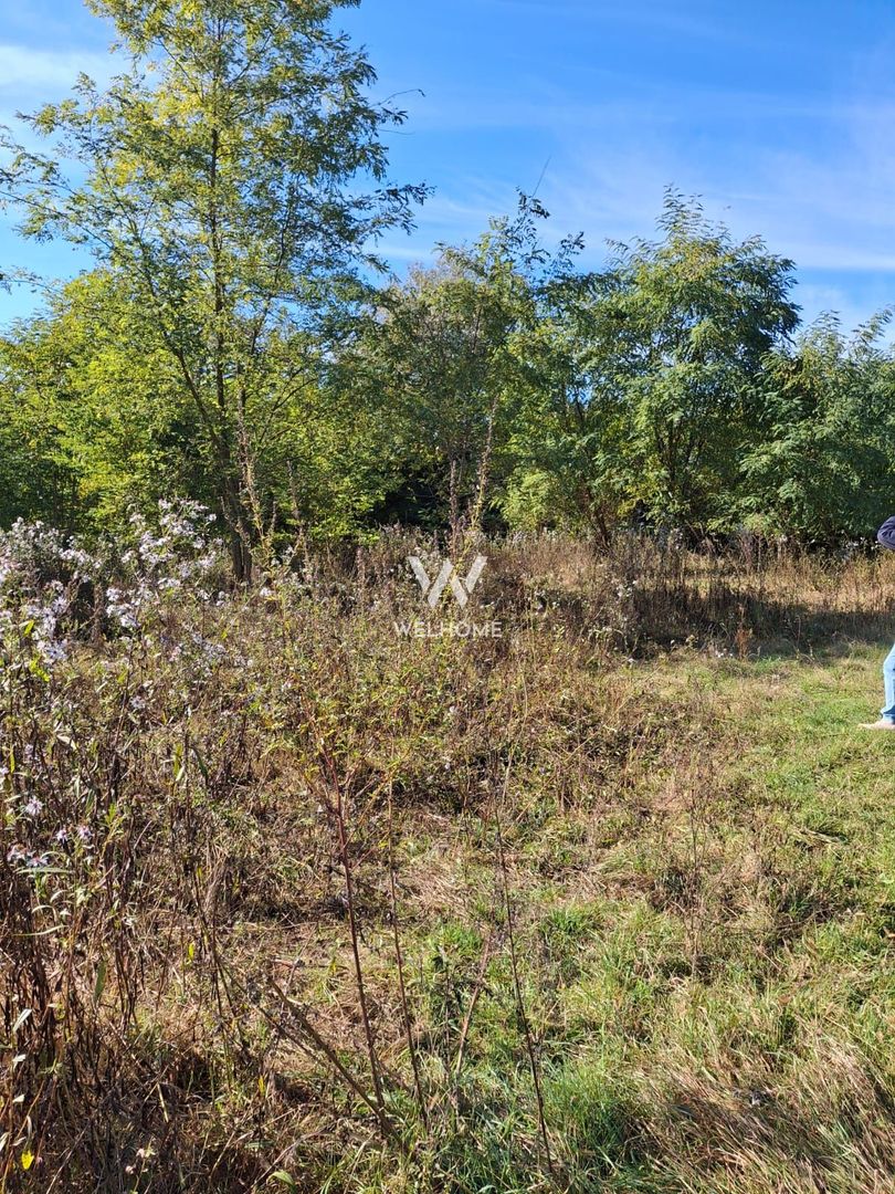 Teren de vanzare Daia Noua - Poză 3