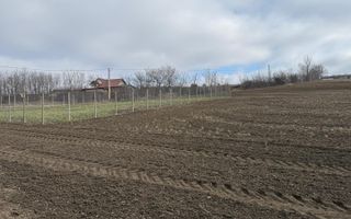 Teren de vanzare - Poză 3