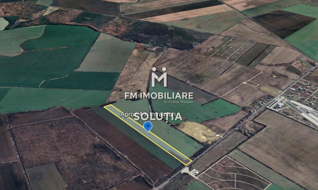 Teren intravilan – Crevedia – 62 de parcele – Acces din DN1A - Poză 3