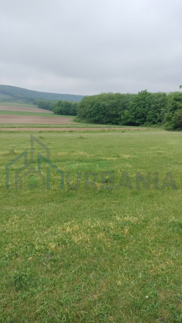 Teren intravilan 7.200 m2, Bordea, Grajduri, ideal case/ investitie - Poză 5