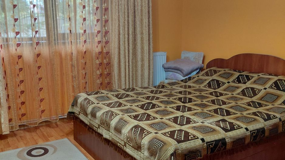 Casă Spațioasă P+1+M, 265 mp Utili, 1000 mp Teren – Toate Utilitățile, Vânători - Poză 30