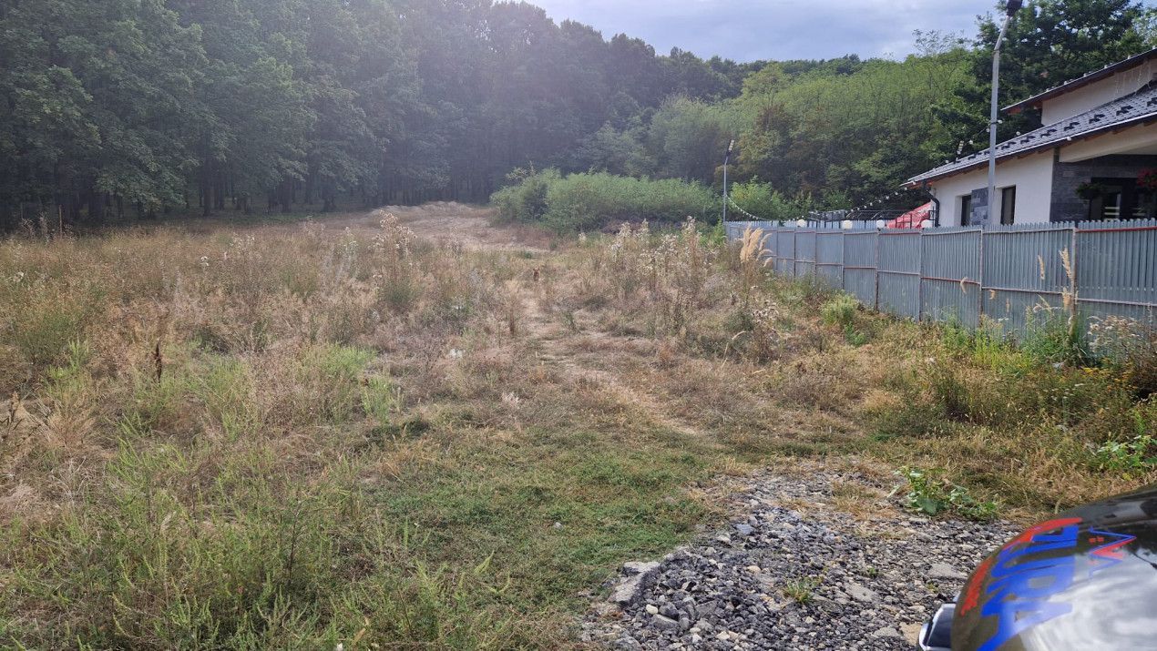 AZURA Imobiliare - Vanzare teren Hintesti, langa padure, 300m din DN - Poză 7