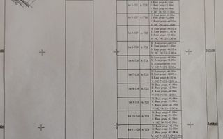 Teren intravilan Ciocanesti Cretu - 9282 mp divizat in 15 loturi - Poză 2