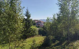 Camin de batrani + Ferma de sturioni/Saru Dornei - Poză 14