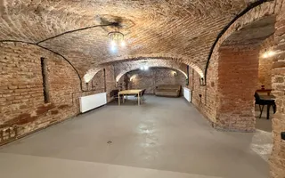 SAD - Spatiu comercial central de 160mp in Arad - ideal: crama, cafenea, magazin - Poză 12