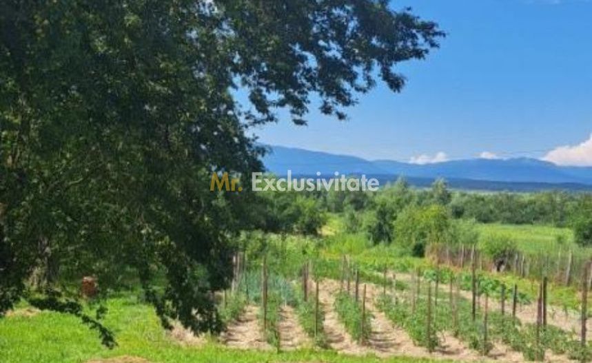 Proprietate cu potențial turistic și agricol | 7.661 mp|Șomanești-GORJ - Poză 3