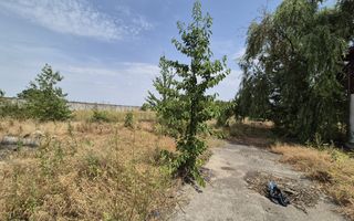 De vanzare teren industrial in Calarasi/Belciugatele - Poză 11