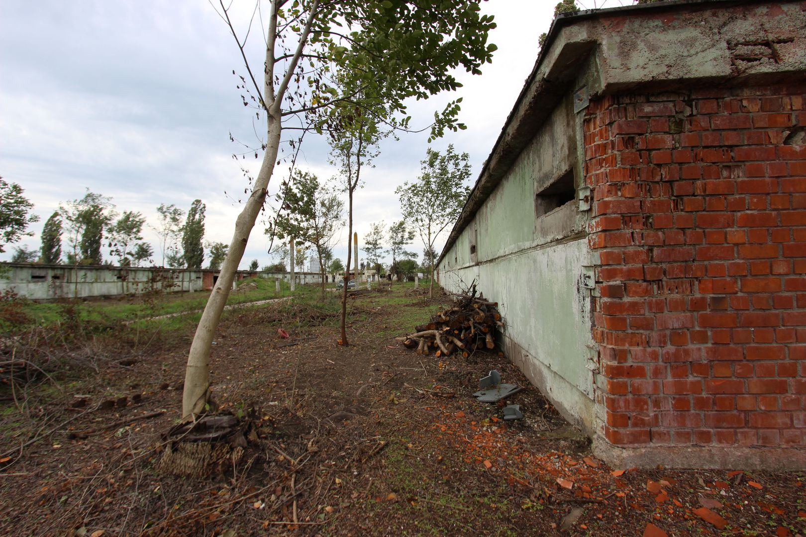 Vanzare hale Mosnita Noua-fosta Ferma 7 - Poză 37