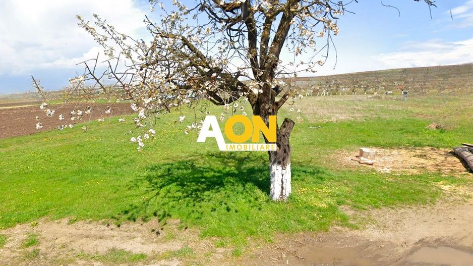 Teren intravilan, 3600 mp, la sosea, toate utilitatile, Oarda de Jos - Poză 1