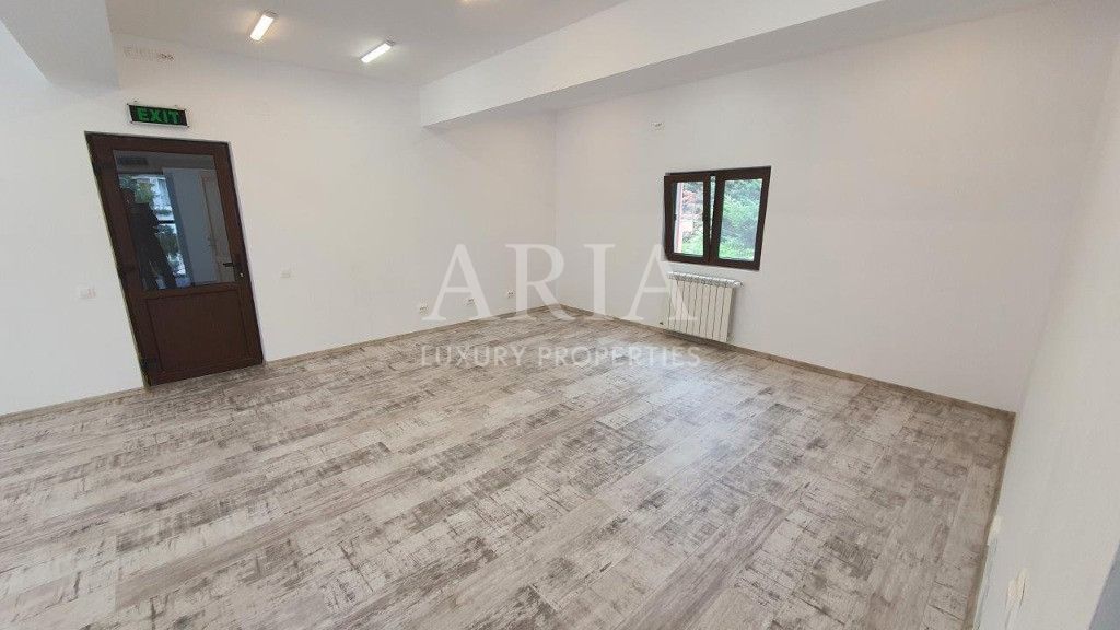 Vila Iancu Nicolae ideala pt birou | spa | educational | rezidential - Poză 12