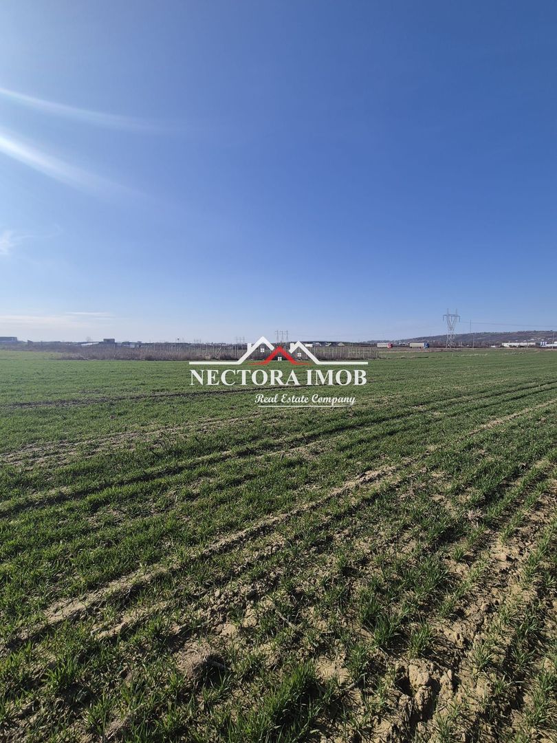 NECTORA IMOB-Teren Intravilan 537 mp, Zona Solay, 250 m de asfalt - Poză 5