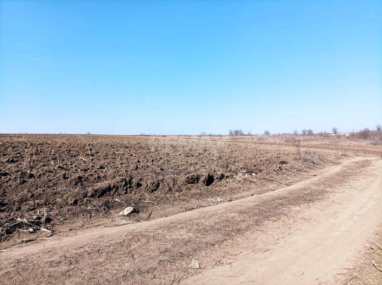 Teren Agricol de Vânzare - 162 Ari în or. Singera, Extravilan 🌿 - Poză 2