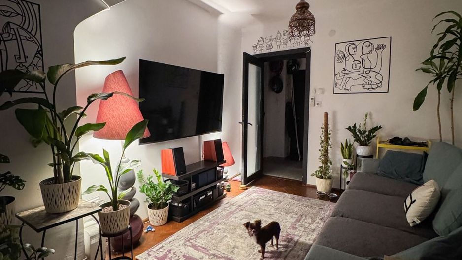 Apartament 2 camere - Domenii, etaj 2/2, centrala noua, curte, boxă, pod. - Poză 3