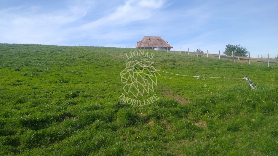 Teren 2500 mp-ideal agricultura/cabane/sera-panorama-Monariu - Poză 4