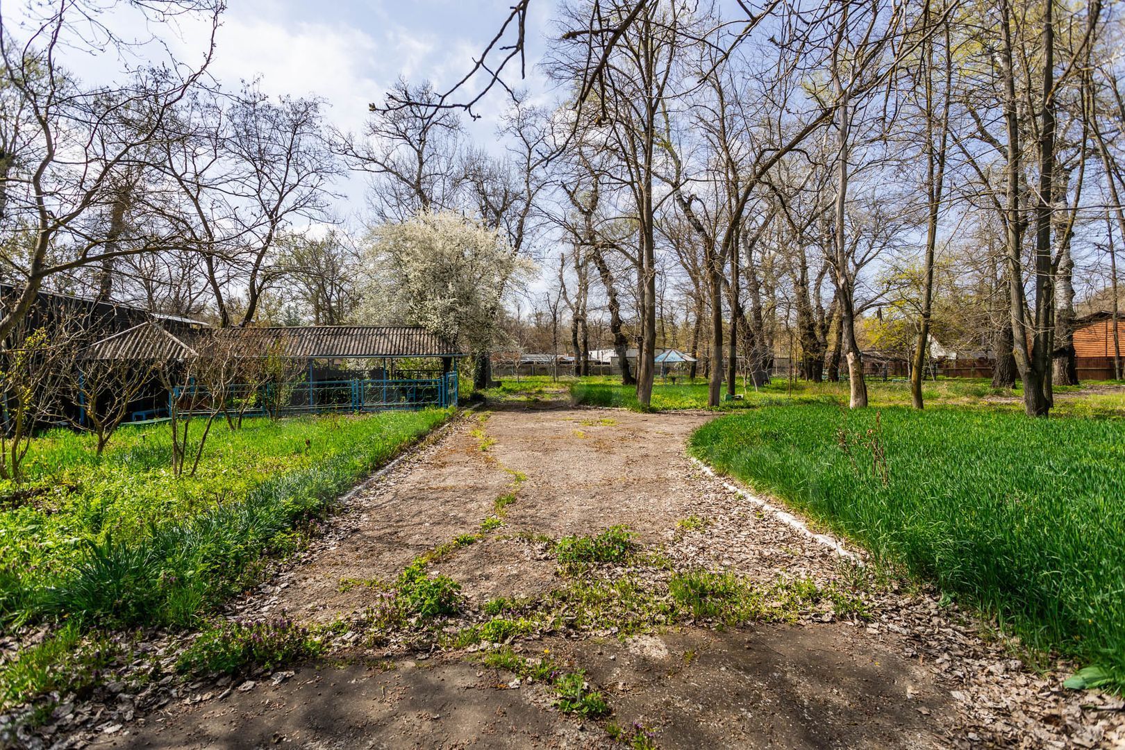 Vânzare, spațiu comercial, 1.04 ha, Vadul lui Vodă - Poză 4