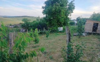 Teren intravilan de 1550 mp în localitatea Buznea, strada Corneliu Coposu - Poză 2