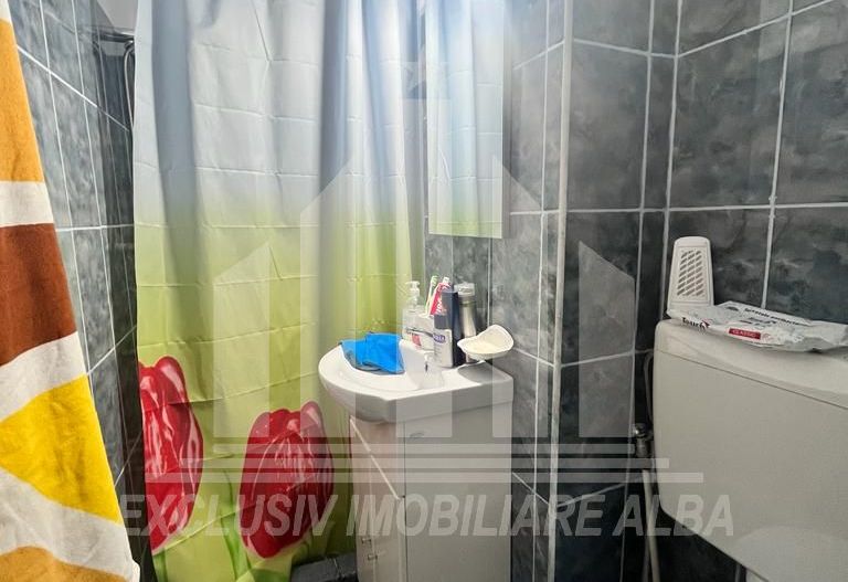 Apartament cu 3 camere etaj intermediar, Cetate - Poză 7
