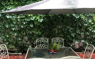 Vila deosebita 11 camere Erou Iancu Nicolae - Poză 10