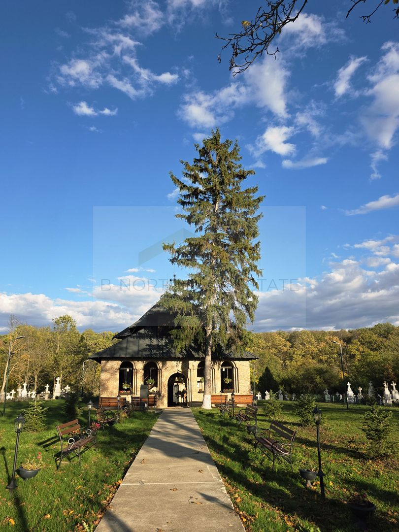 Reședință exclusivistă cu deschidere la Lacul Scroviștea - Poză 19