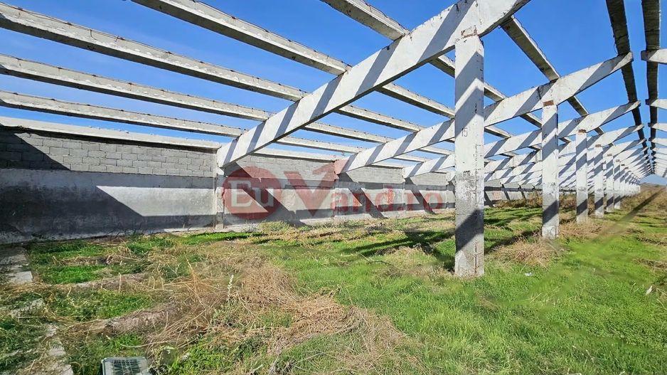 HALA INDUSTRIALA DE VANZARE, VANATORI, DN26, TEREN 3.500 MP – PRET 249.000E - Poză 2