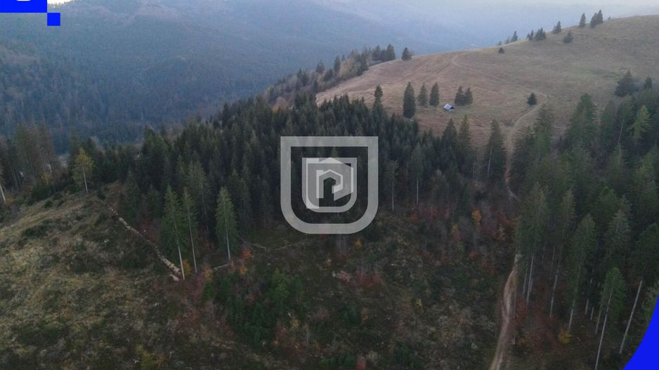 Teren situat in Frasin | BUCOVINA - Poză 6