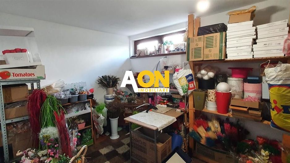 Casa parter+demisol, 1200 mp teren, pretabila pt 2 familii, Sard - Poză 23