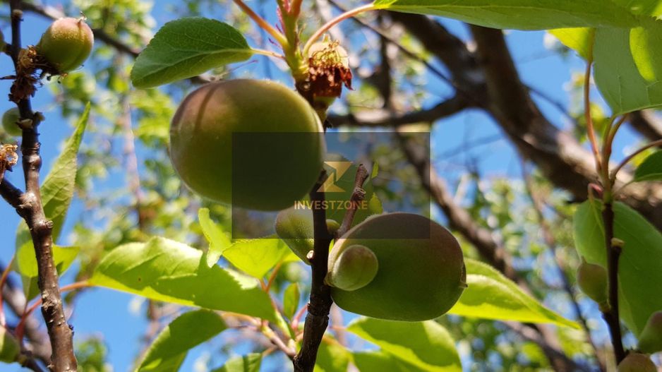 Teren cu utilități 2052 mp - Oradea - str. Făgetului - Poză 11