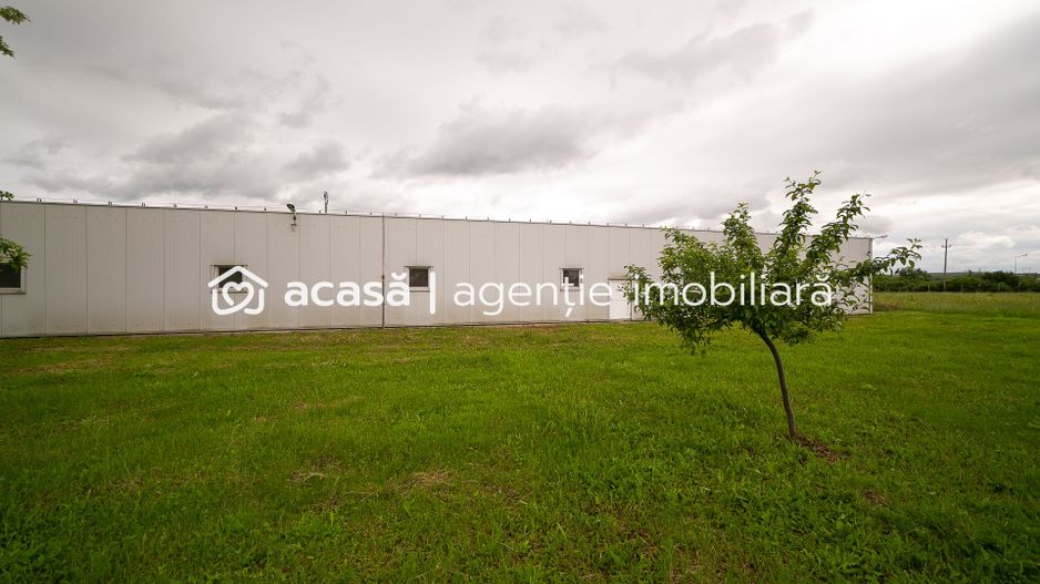 Hală industrială/producție în Lipova - Arad - Poză 6