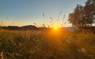 Exclusivitate- Casă rustică de închiriat în Fundata – Priveliște spectaculoasă - Poză 23