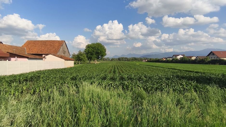 teren intravilan 700mp str. Fagurului, Stupini - Poză 5