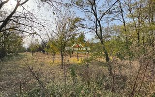 NECTORA IMOB-Teren cu livada matura+Anexa racordata la trifazic,9162mp - Poză 4