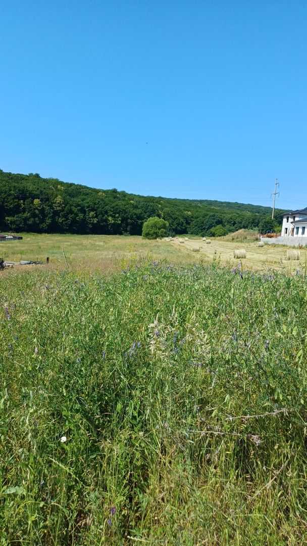 Teren intravilan - Corunca - Poză 3